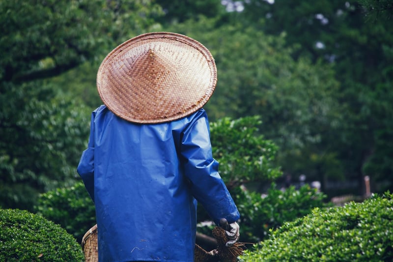 Communal Gardening