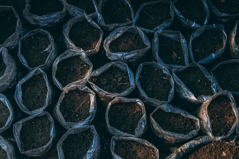 Vertical Gardening