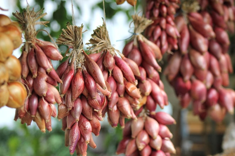 Kitchen Garden
